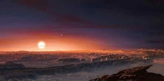 Proxima Centauri b: Reserve of Vast Oceans