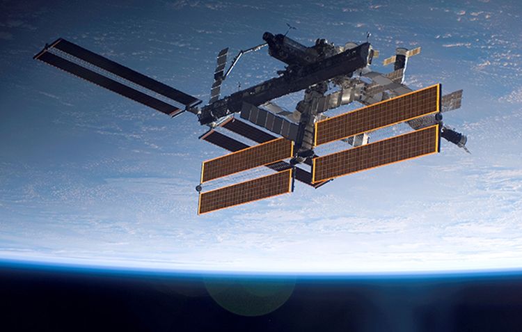 New Satellite to Track Animals from Space