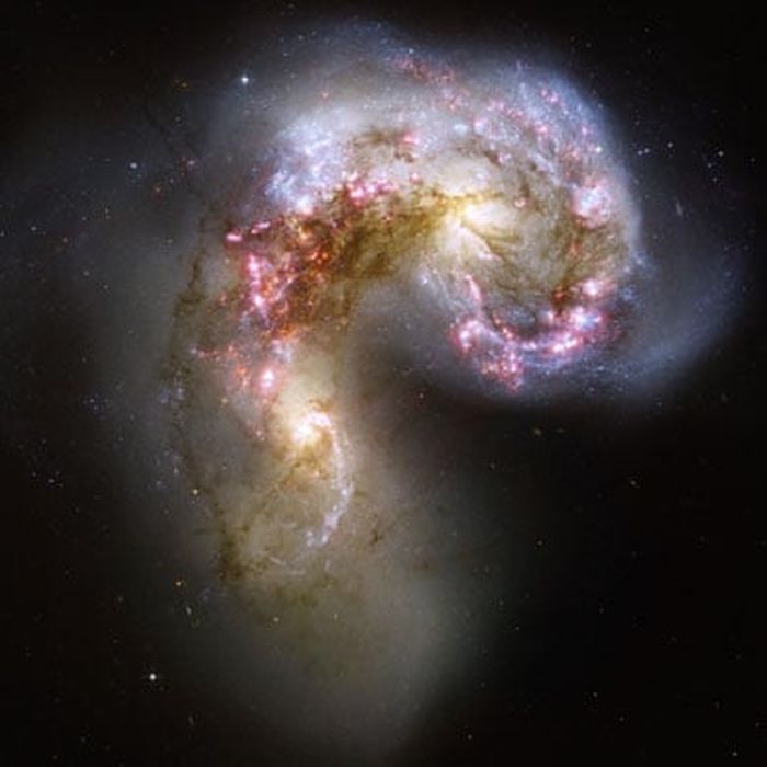 Merging pair of galaxies called the Antennae